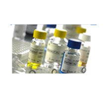 ���W(xu��)ԇ��